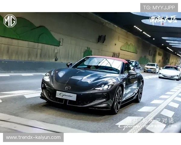 专家称2026年格局可能分散，中小车队机会增加